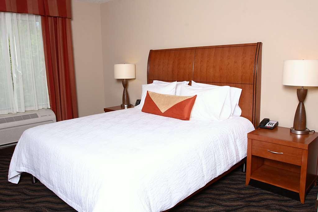 Hilton Garden Inn Chesapeake/Suffolk Room photo